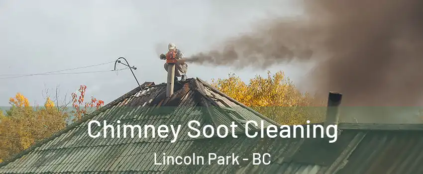  Chimney Soot Cleaning Lincoln Park - BC