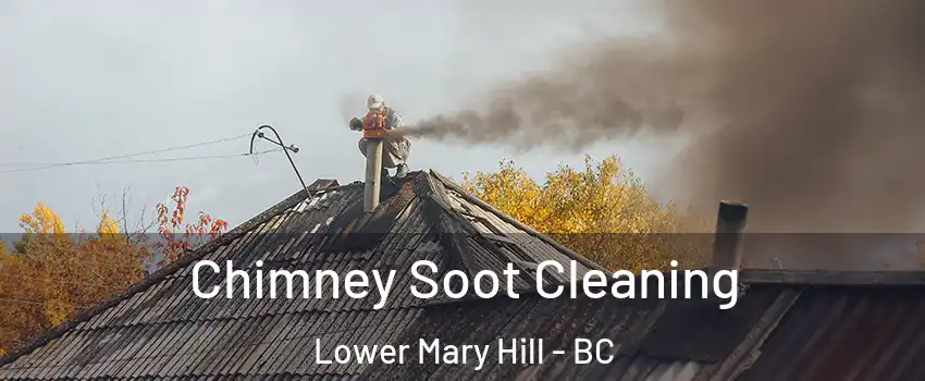  Chimney Soot Cleaning Lower Mary Hill - BC