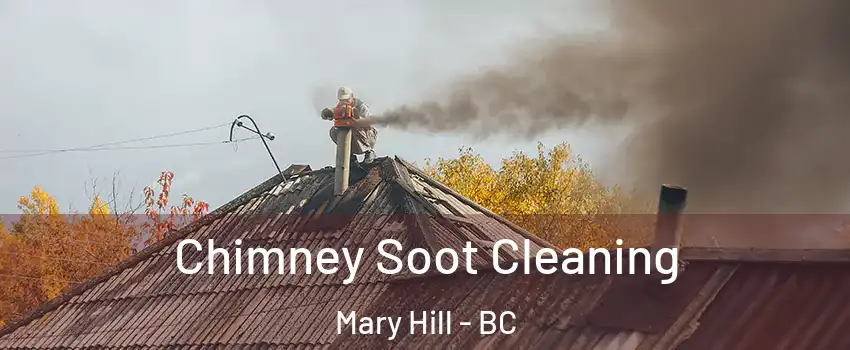 Chimney Soot Cleaning Mary Hill - BC