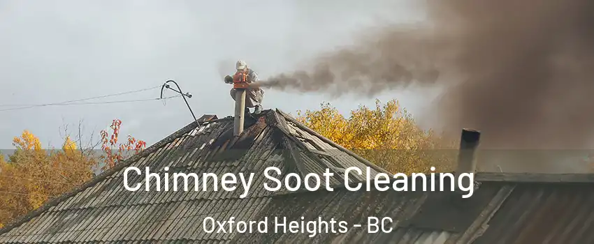  Chimney Soot Cleaning Oxford Heights - BC