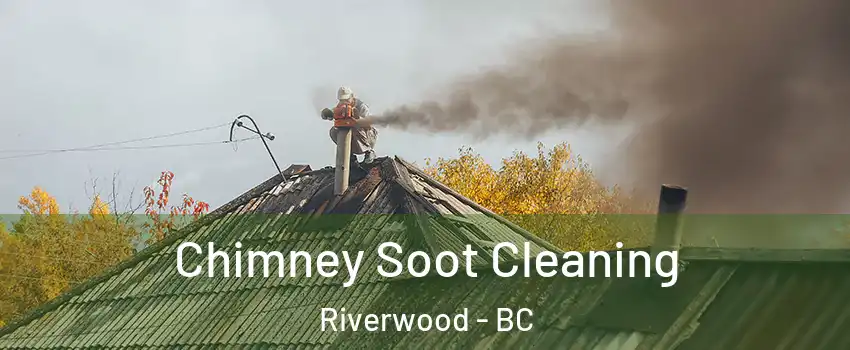  Chimney Soot Cleaning Riverwood - BC