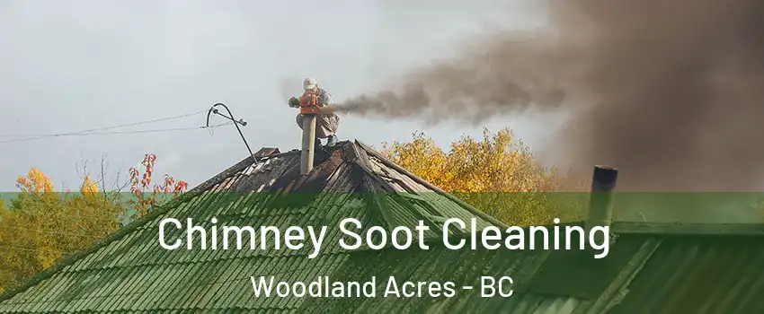  Chimney Soot Cleaning Woodland Acres - BC