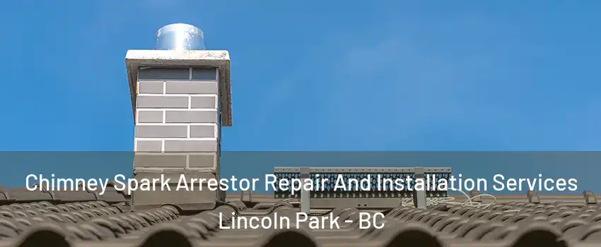  Chimney Spark Arrestor Repair And Installation Services Lincoln Park - BC