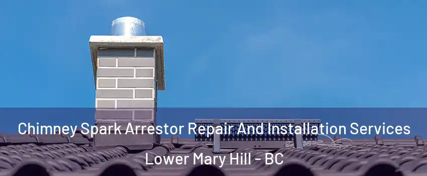  Chimney Spark Arrestor Repair And Installation Services Lower Mary Hill - BC