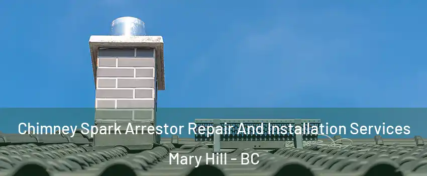  Chimney Spark Arrestor Repair And Installation Services Mary Hill - BC