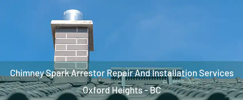  Chimney Spark Arrestor Repair And Installation Services Oxford Heights - BC