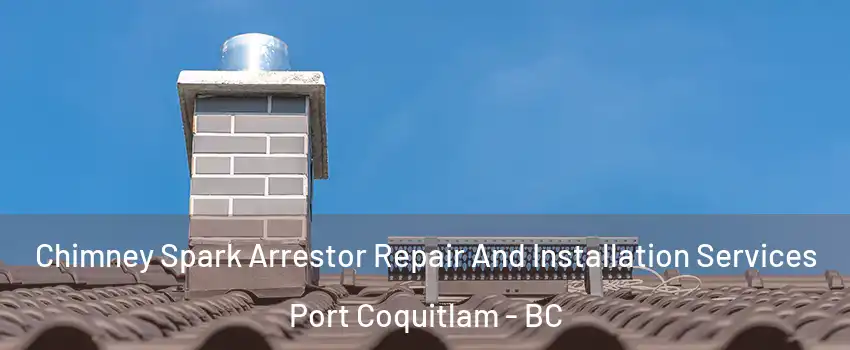  Chimney Spark Arrestor Repair And Installation Services Port Coquitlam - BC