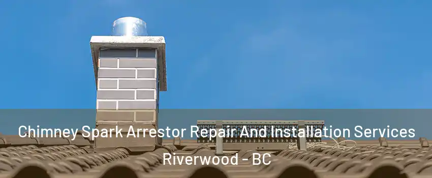  Chimney Spark Arrestor Repair And Installation Services Riverwood - BC