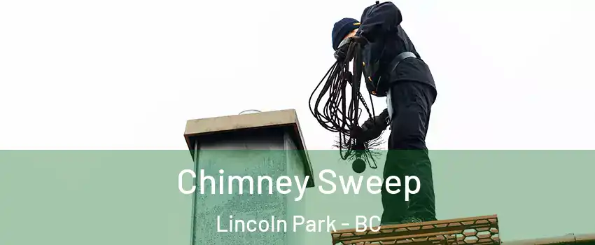  Chimney Sweep Lincoln Park - BC