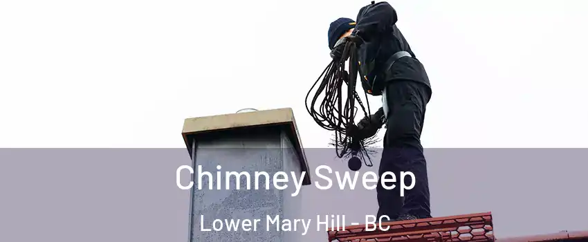  Chimney Sweep Lower Mary Hill - BC