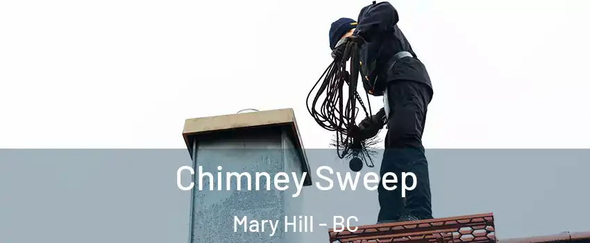  Chimney Sweep Mary Hill - BC
