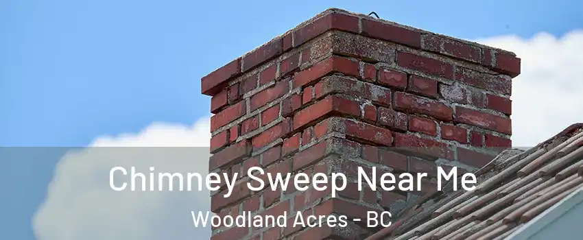  Chimney Sweep Near Me Woodland Acres - BC