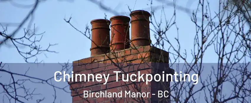  Chimney Tuckpointing Birchland Manor - BC