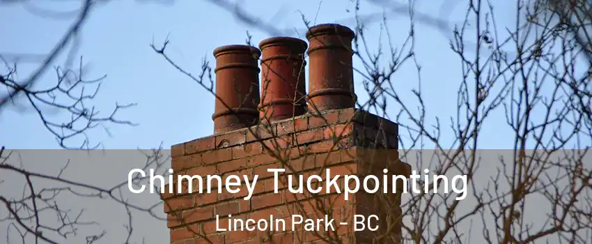  Chimney Tuckpointing Lincoln Park - BC