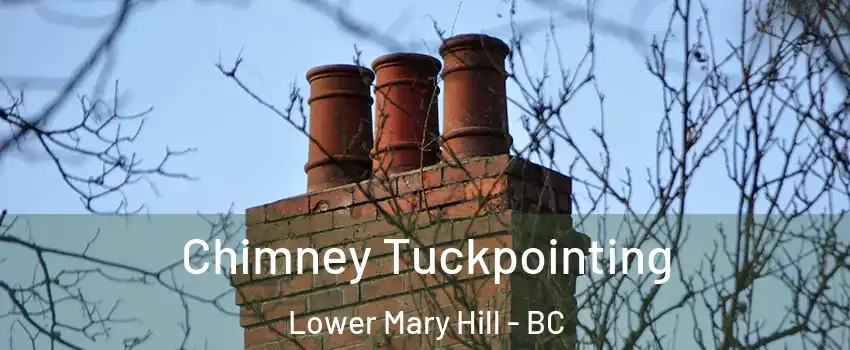  Chimney Tuckpointing Lower Mary Hill - BC