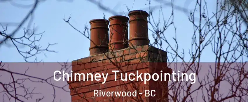  Chimney Tuckpointing Riverwood - BC
