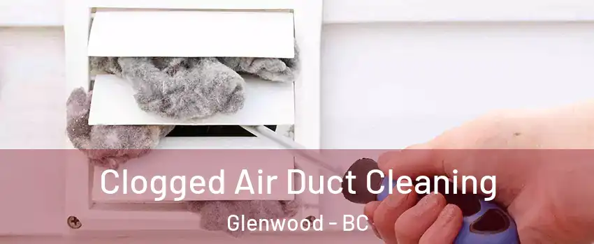  Clogged Air Duct Cleaning Glenwood - BC