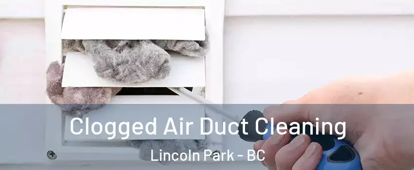  Clogged Air Duct Cleaning Lincoln Park - BC