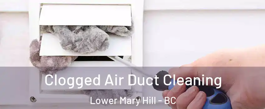  Clogged Air Duct Cleaning Lower Mary Hill - BC