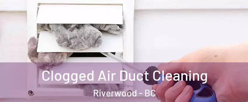  Clogged Air Duct Cleaning Riverwood - BC