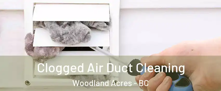  Clogged Air Duct Cleaning Woodland Acres - BC