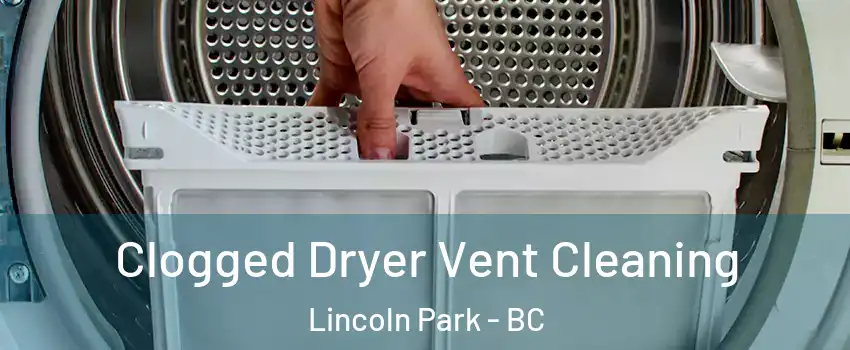  Clogged Dryer Vent Cleaning Lincoln Park - BC