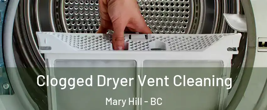  Clogged Dryer Vent Cleaning Mary Hill - BC