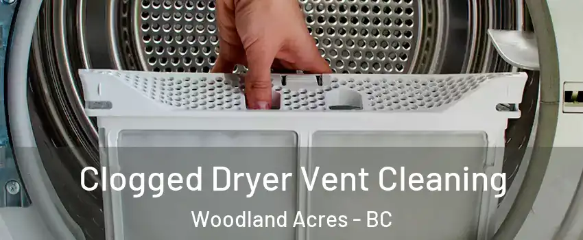 Clogged Dryer Vent Cleaning Woodland Acres - BC