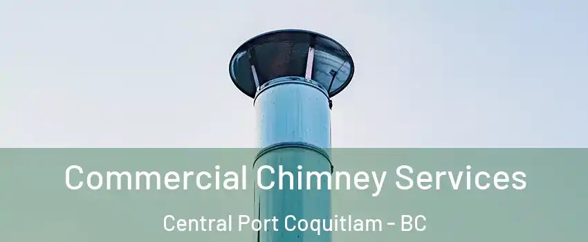  Commercial Chimney Services Central Port Coquitlam - BC