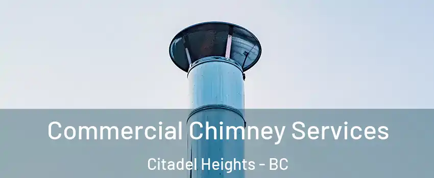  Commercial Chimney Services Citadel Heights - BC
