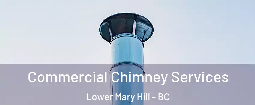  Commercial Chimney Services Lower Mary Hill - BC