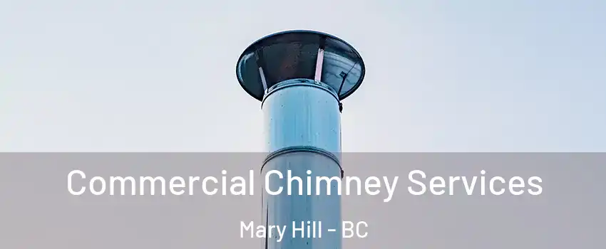  Commercial Chimney Services Mary Hill - BC