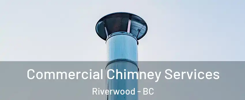  Commercial Chimney Services Riverwood - BC