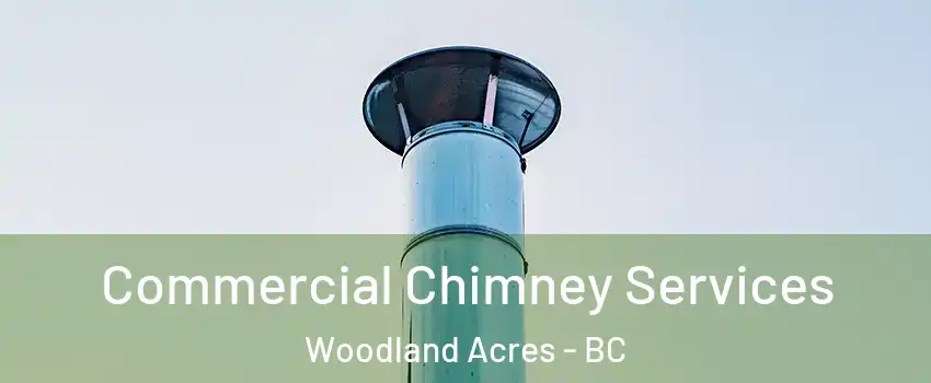  Commercial Chimney Services Woodland Acres - BC