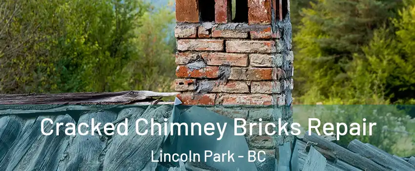  Cracked Chimney Bricks Repair Lincoln Park - BC