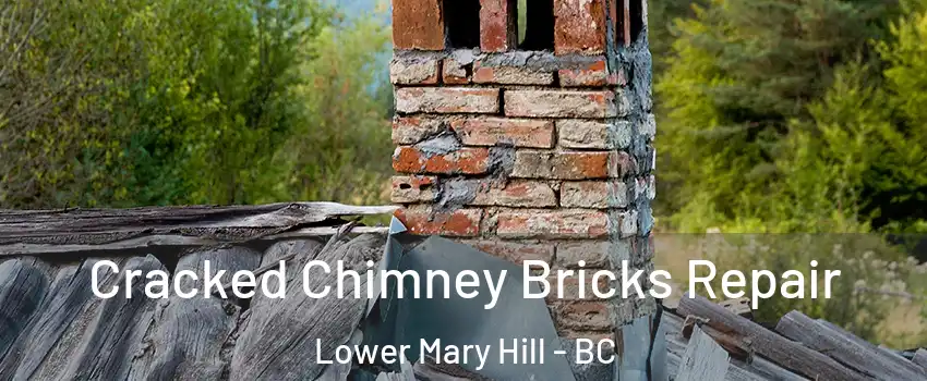  Cracked Chimney Bricks Repair Lower Mary Hill - BC