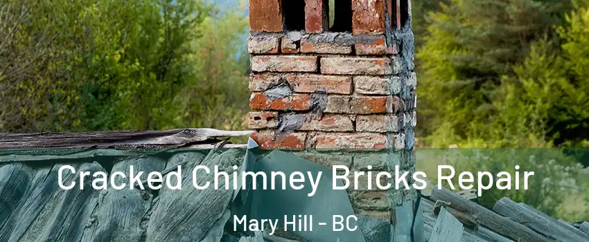  Cracked Chimney Bricks Repair Mary Hill - BC