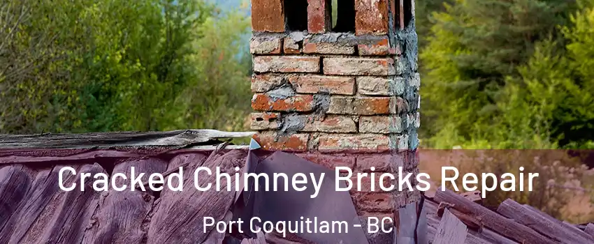  Cracked Chimney Bricks Repair Port Coquitlam - BC