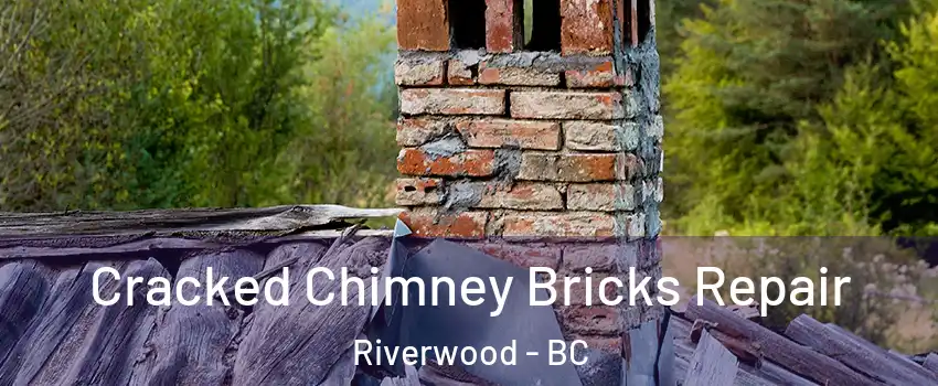  Cracked Chimney Bricks Repair Riverwood - BC