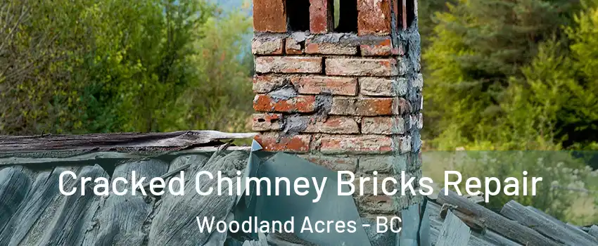  Cracked Chimney Bricks Repair Woodland Acres - BC