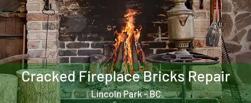  Cracked Fireplace Bricks Repair Lincoln Park - BC