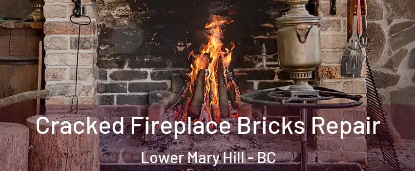  Cracked Fireplace Bricks Repair Lower Mary Hill - BC
