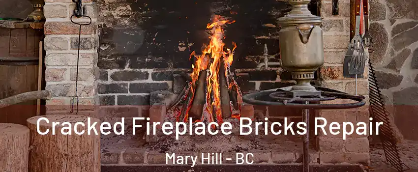  Cracked Fireplace Bricks Repair Mary Hill - BC