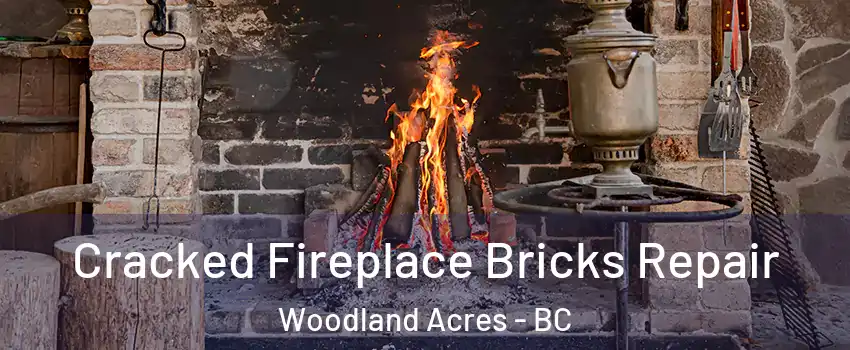  Cracked Fireplace Bricks Repair Woodland Acres - BC