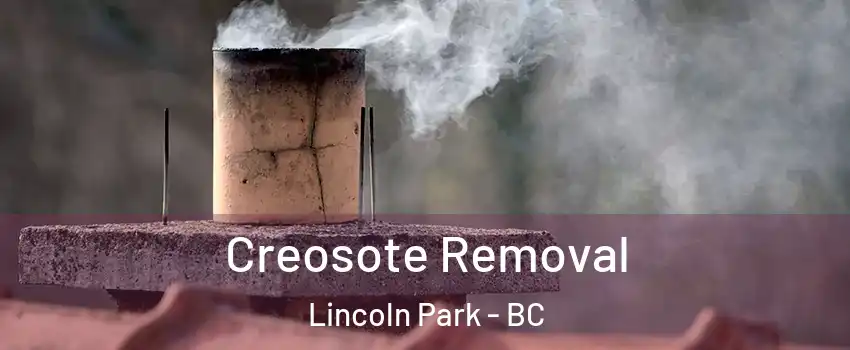  Creosote Removal Lincoln Park - BC