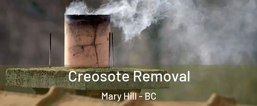  Creosote Removal Mary Hill - BC