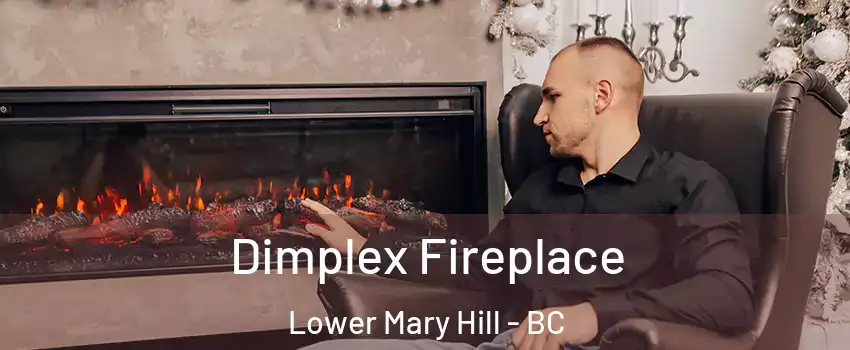  Dimplex Fireplace Lower Mary Hill - BC