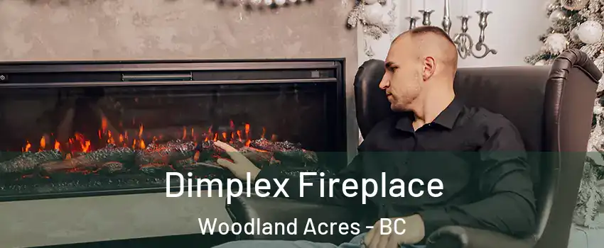  Dimplex Fireplace Woodland Acres - BC