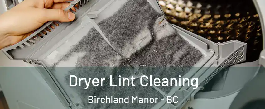 Dryer Lint Cleaning Birchland Manor - BC