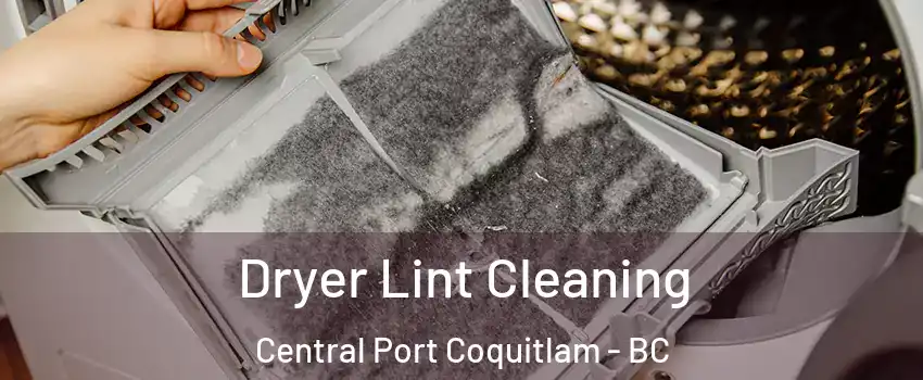  Dryer Lint Cleaning Central Port Coquitlam - BC
